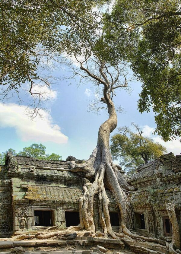 Angkor Wat Sunrise Small Tour and Free Breakfast - Image 4
