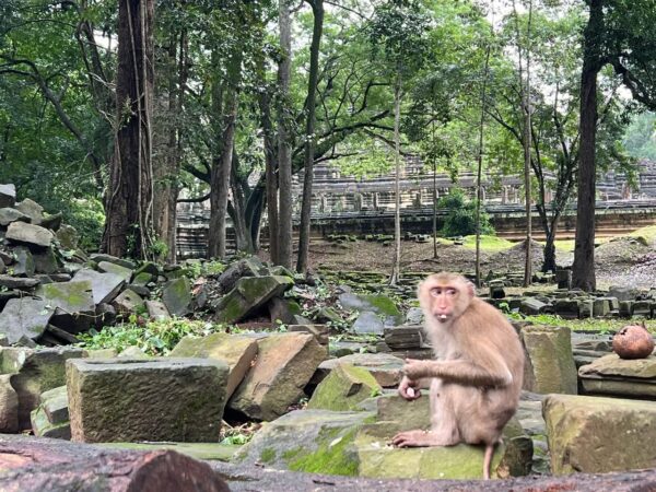 Angkor temple sunrise small private tour by Tuk Tuk - Image 4