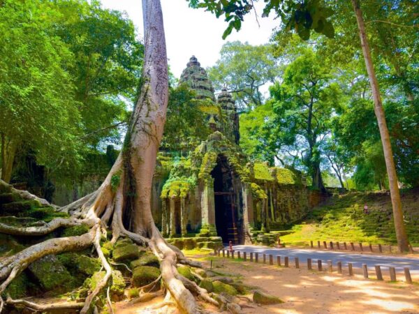 Angkor Wat Small Tour Sunrise Free Breakfast and Kampong Phluk Sunset - Image 11