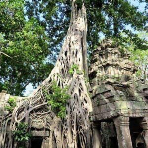 Angkor full day tour temple small private tour by Tuk Tuk