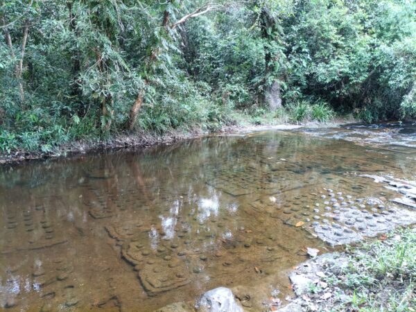 Full day Tour Kulen Waterfal and Free Lunch Kampong Phluk Tonle Sap Sunset - Image 13