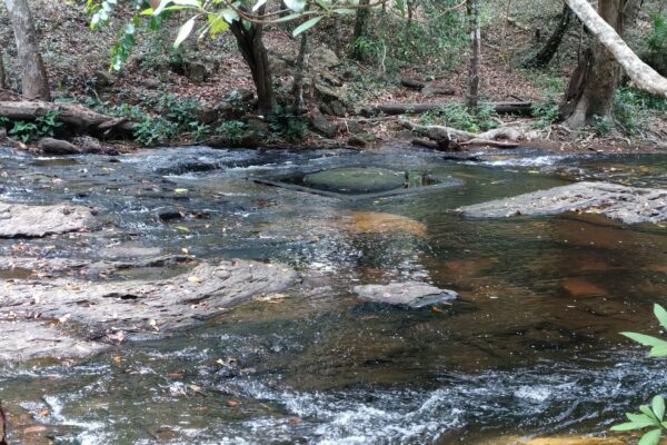 Full day Tour Kulen Waterfal and Free Lunch Kampong Phluk Tonle Sap Sunset - Image 15