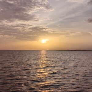 Afternoon Kampong Phluk Floating Village & Tonle Sap Sunset Tour