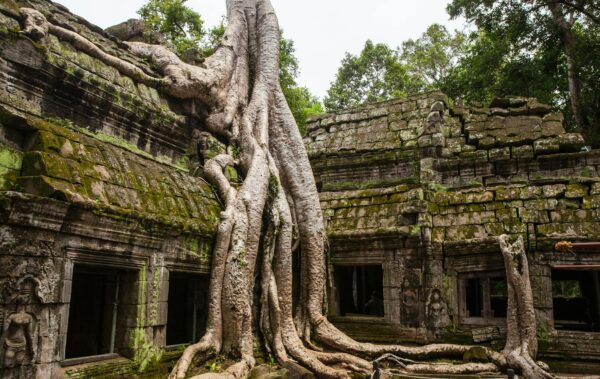 Angkor full day tour temple small private tour by Tuk Tuk - Image 3