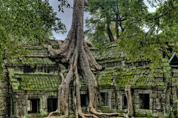 Angkor Grand Private tour-Banteay Srei Free Lunch and Pre Rup Sunset - Image 2