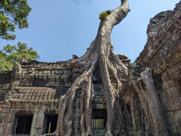 Angkor Wat Small Sunrise Private Tour Free Breakfast and Kompong Phluk Sunset - Image 14